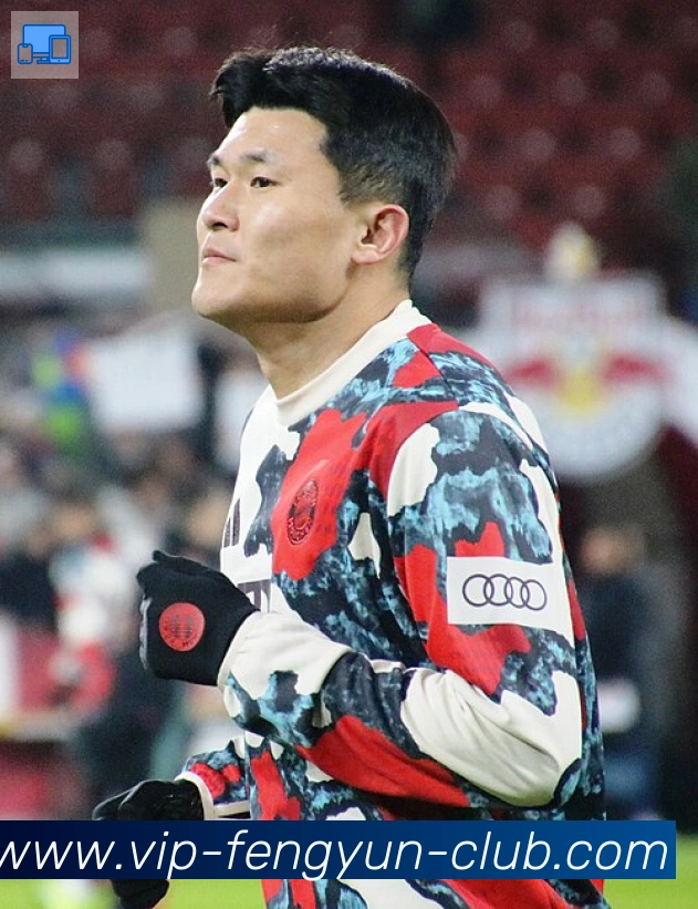 维尼修斯